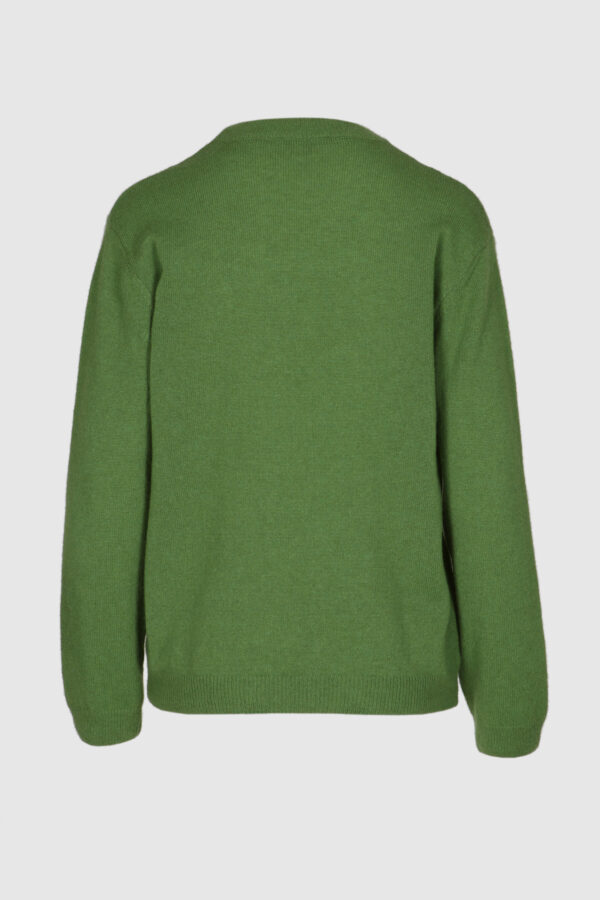 Kaschmir Herren Pullover Pax in grün