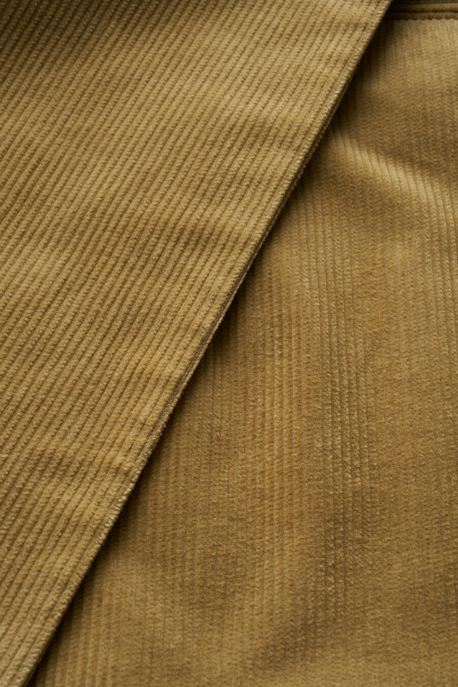 Cord-Culotte aus Baumwolle und Seide in Camel Detail
