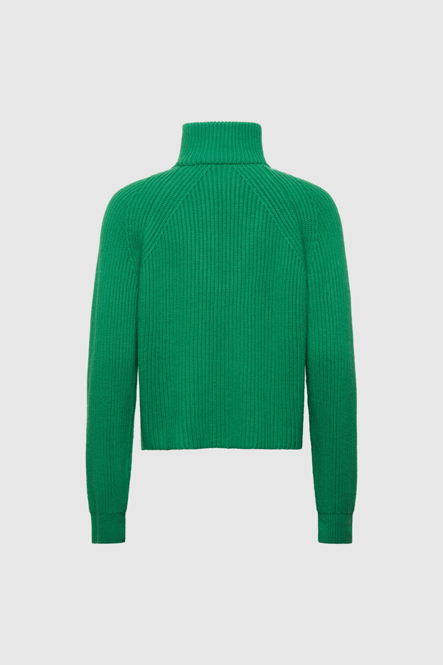 Zip Pulliver grün back